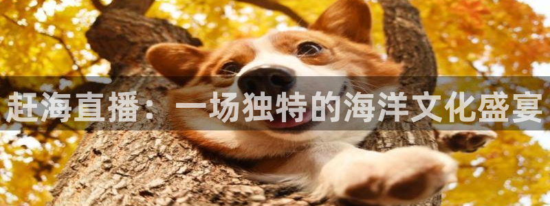 说球帝官网入口：赶海直播：一场独特的海洋文化盛宴
