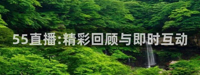 说球帝nba直播在线观看高清免费：55直播:精彩回顾与即时互动