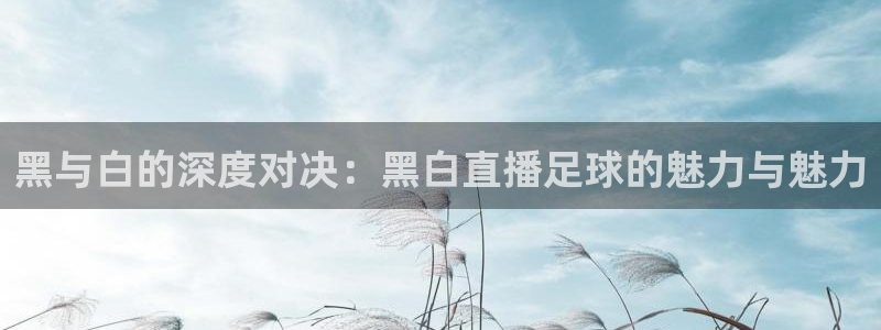 说球帝官网下载：黑与白的深度对决：黑白直播足球的魅力与魅力