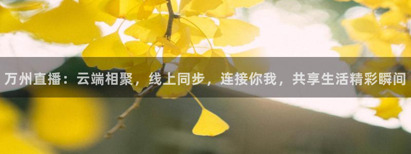nba直播免费高清无插件直播说球帝：万州直播：云端相聚，线上同步，连接你我，共享生活精彩瞬间
