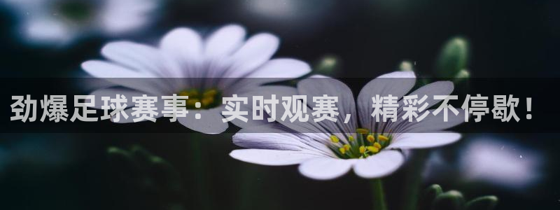 说球帝最新版：劲爆足球赛事：实时观赛，精彩不停歇！