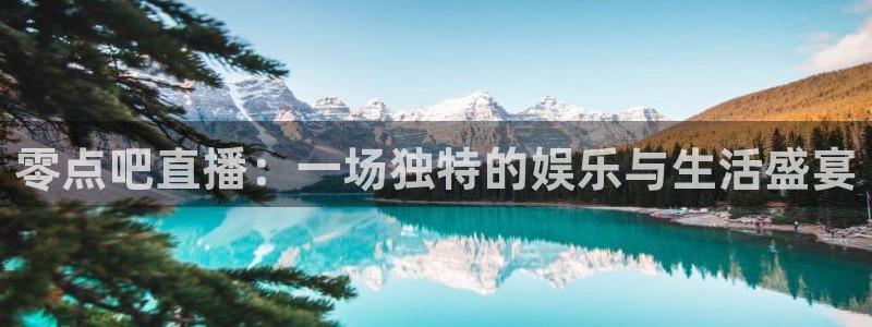 直播nba免费观看说球帝：零点吧直播：一场独特的娱乐与生活盛宴