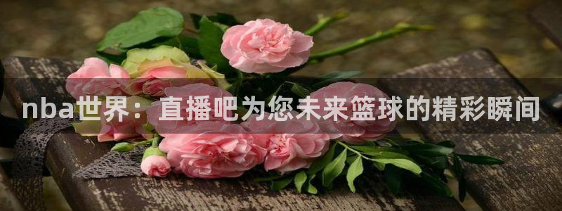 nba免费直播说球帝：nba世界：直播吧为您未来篮球的精彩瞬间