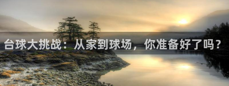 说球帝最新版免费直播：台球大挑战：从家到球场，你准备好了吗？